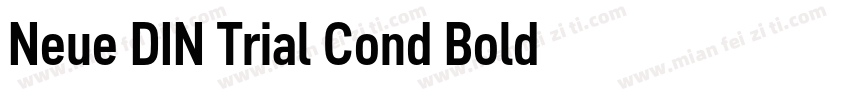 Neue DIN Trial Cond Bold字体转换